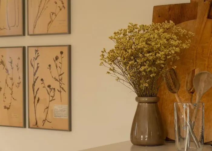 Casa Ferrenas Melide